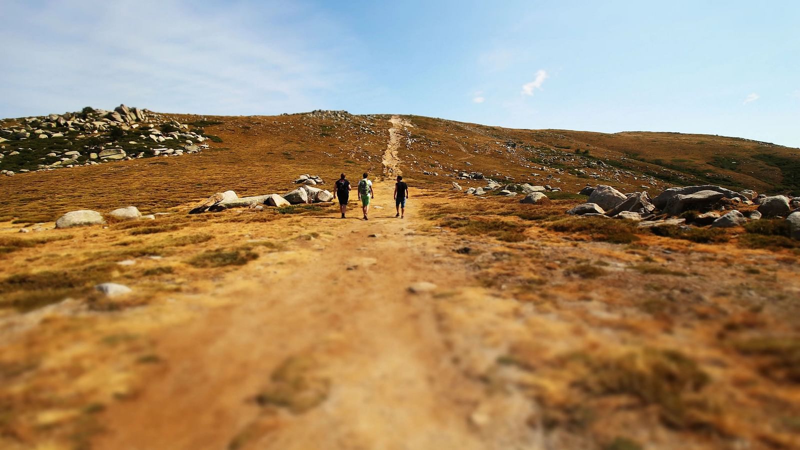 A group of three people hiking on a deserted area captured during the day.