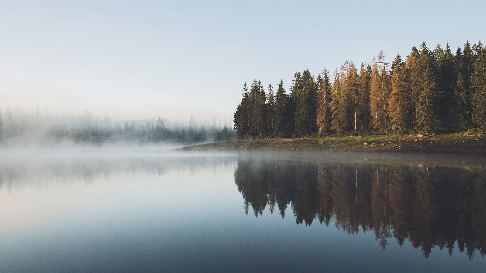 Calm lake with reflections of trees and sky in misty morning light.