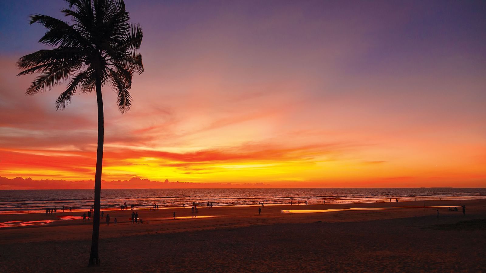 different hues in the sky after a sunset with a coconut tree in view - Caravela Beach Resort Goa