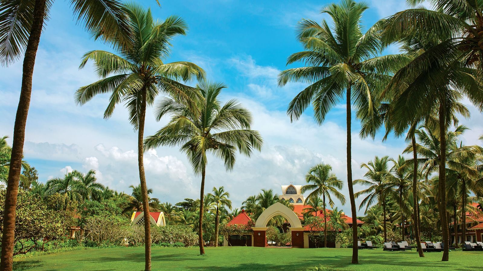 overview of the lawn area with many coconut trees on it - Caravela Beach Resort Goa