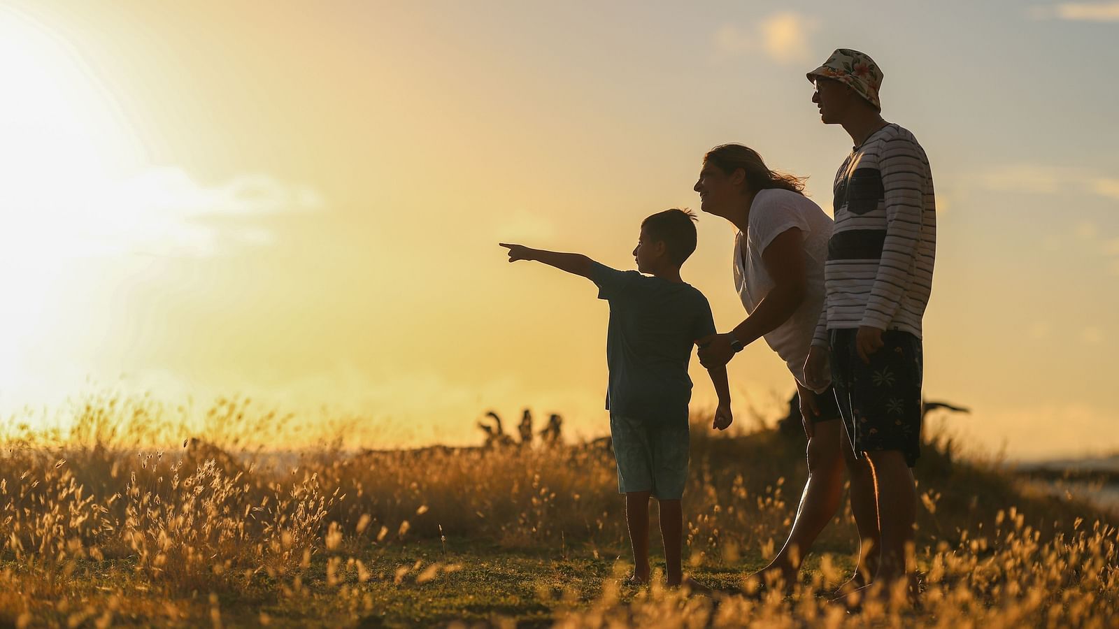 A family enjoying a sunset walk in a field, with the child excitedly pointing towards the horizon.