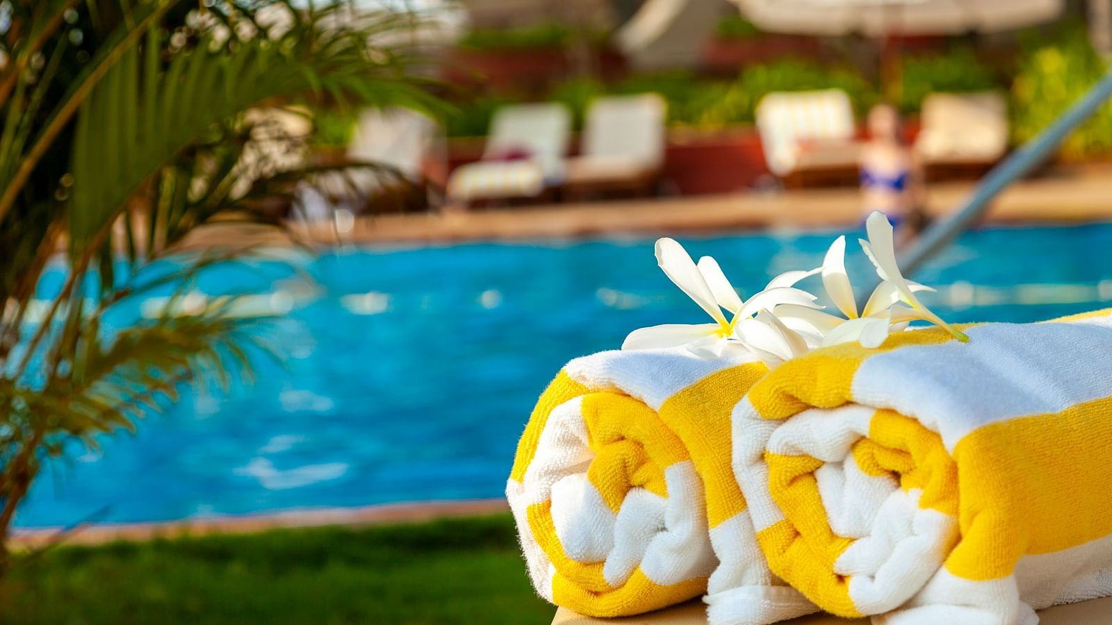 a close up shot of beach towels kept on a towel with a swimming pool in the background - Caravela Beach Resort Goa.
