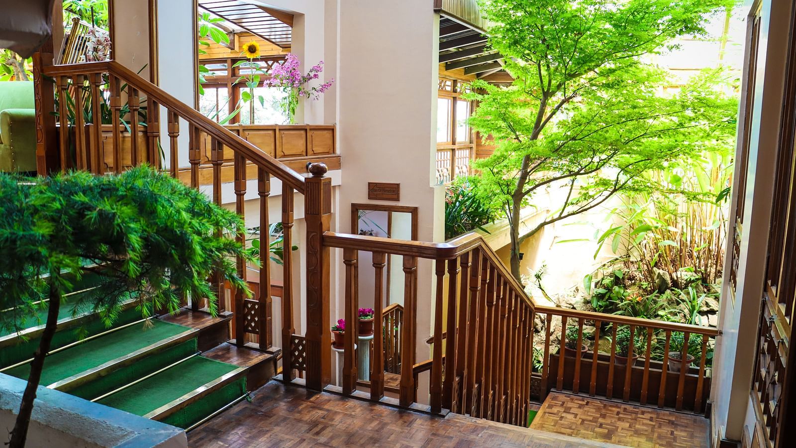 Entrance staircase with greenery at Cedar Inn