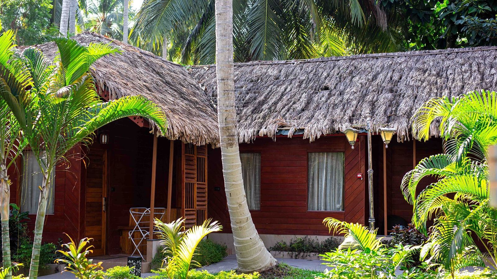 A thatched roof cottage surrounded by tropical vegetation. The cottage blends seamlessly into its surroundings, offering a peaceful retreat in the heart of nature - Coral Reef Resort & Spa, Havelock