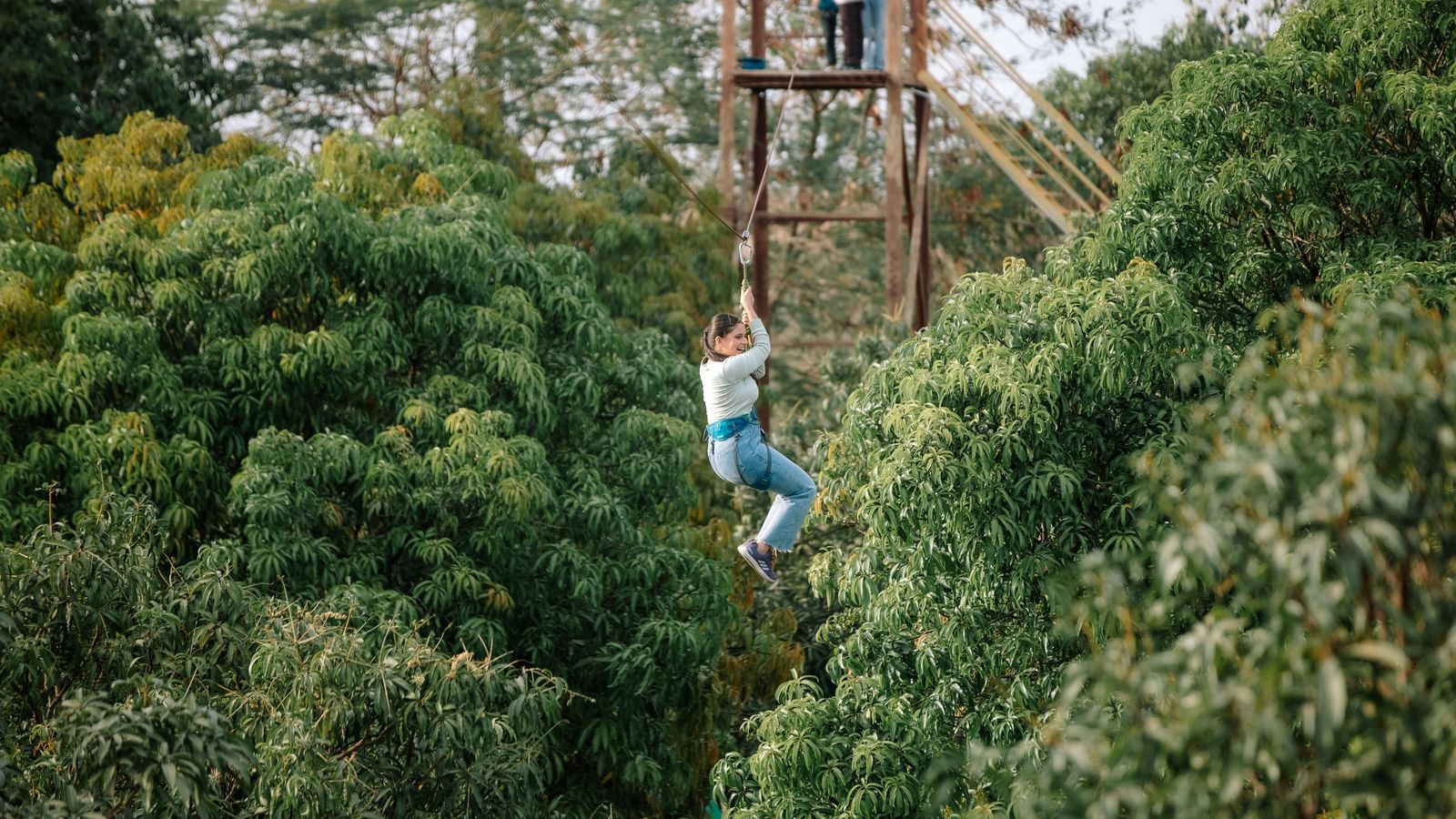 A person wearing safety belts on a zipline that runs amidst a thick expanse of trees -Daksh Eden Greenz, Sasan Gir.