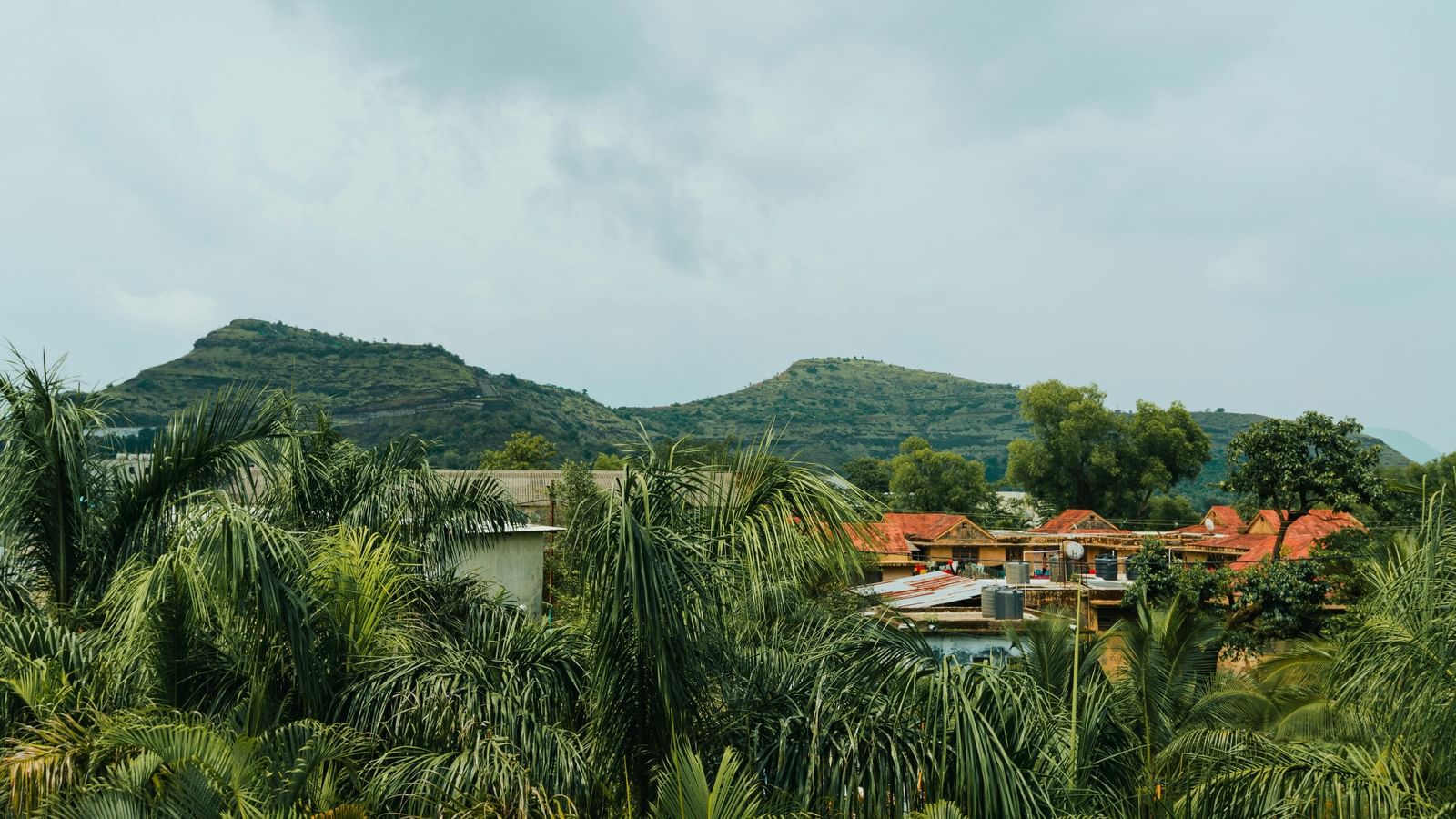 pexels-ronak-patel-424962650-15272465