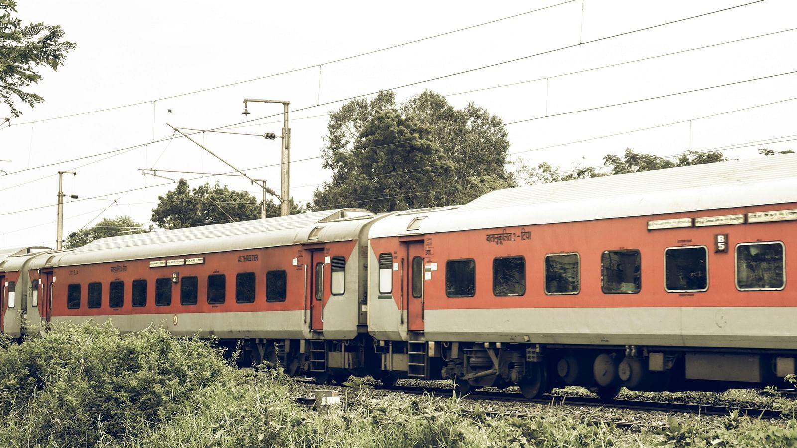 An overview of a train standing stationary on a railway track with wild bushes around it
