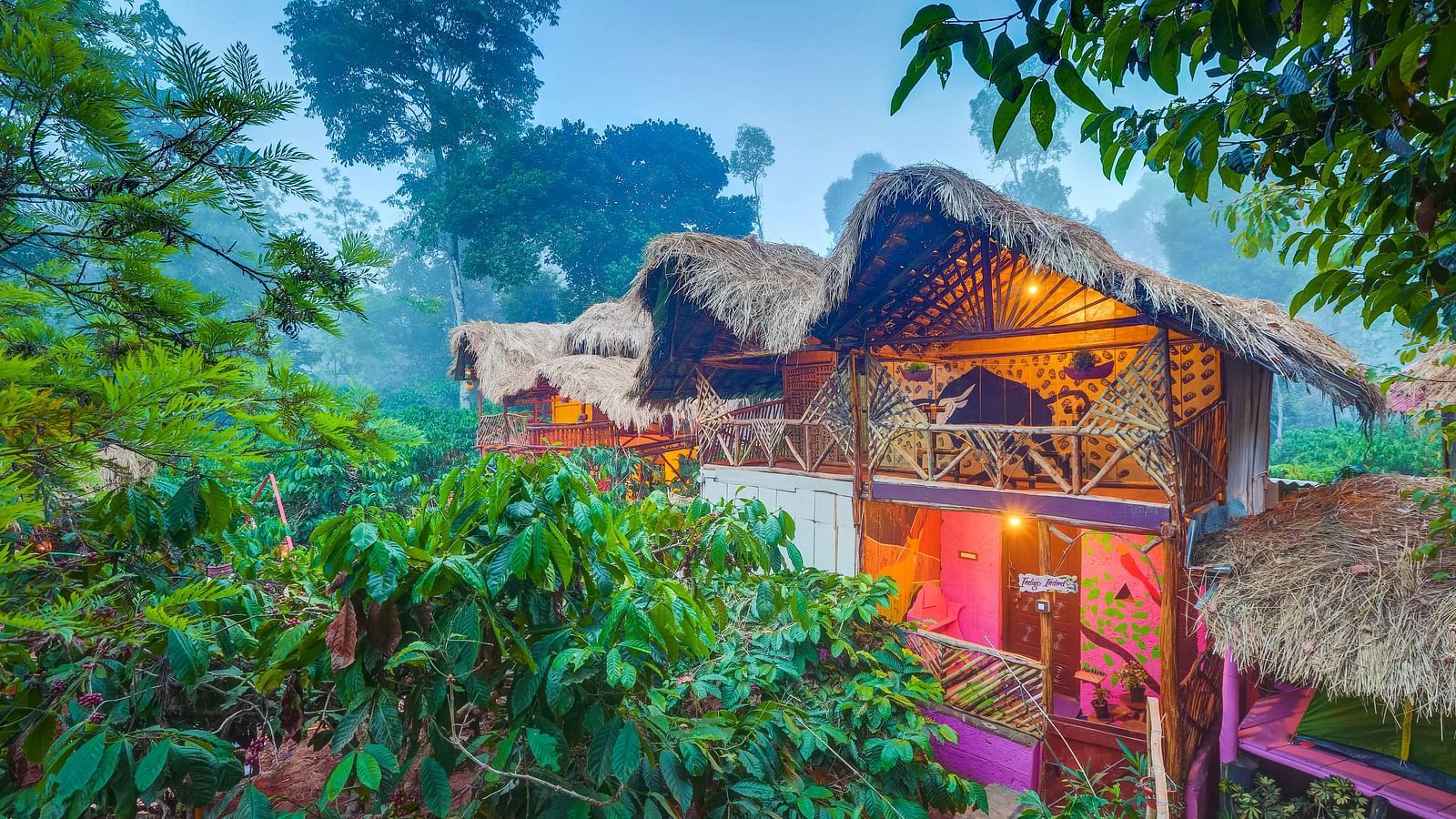 An aerial shot of the family wooden cottage surrounded in lush greenery - Evergreen County