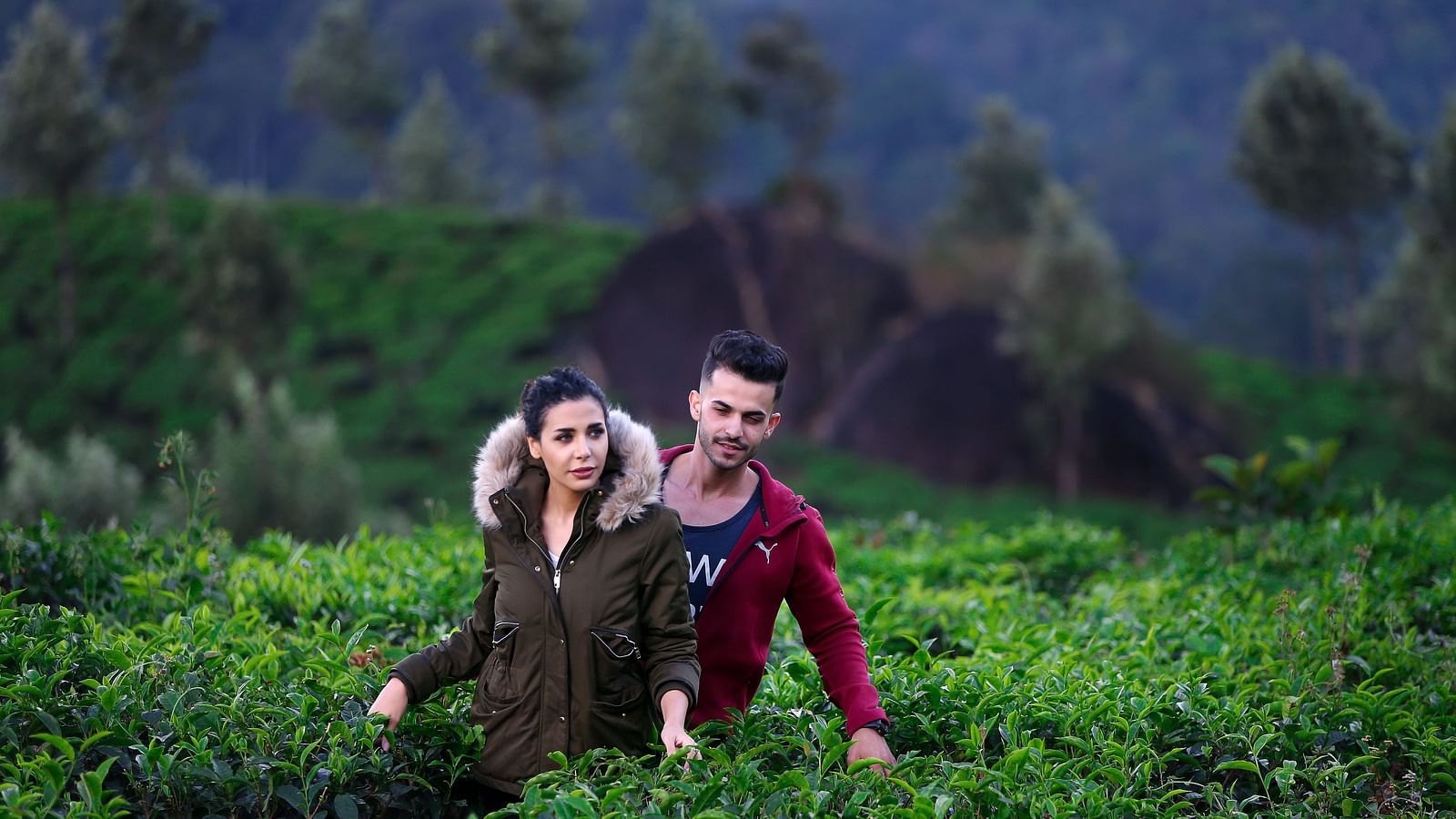 Couples walking through the lush tea gardens of Munnar