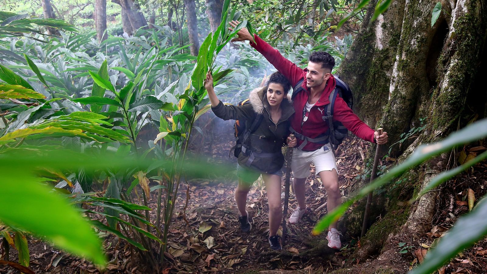 Couples trekking through the lush greenery of Munnar