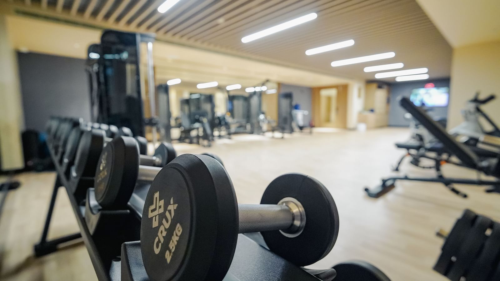 A close up image of the dumbbells in our Madurai gym - Grand Madurai by GRT Hotels