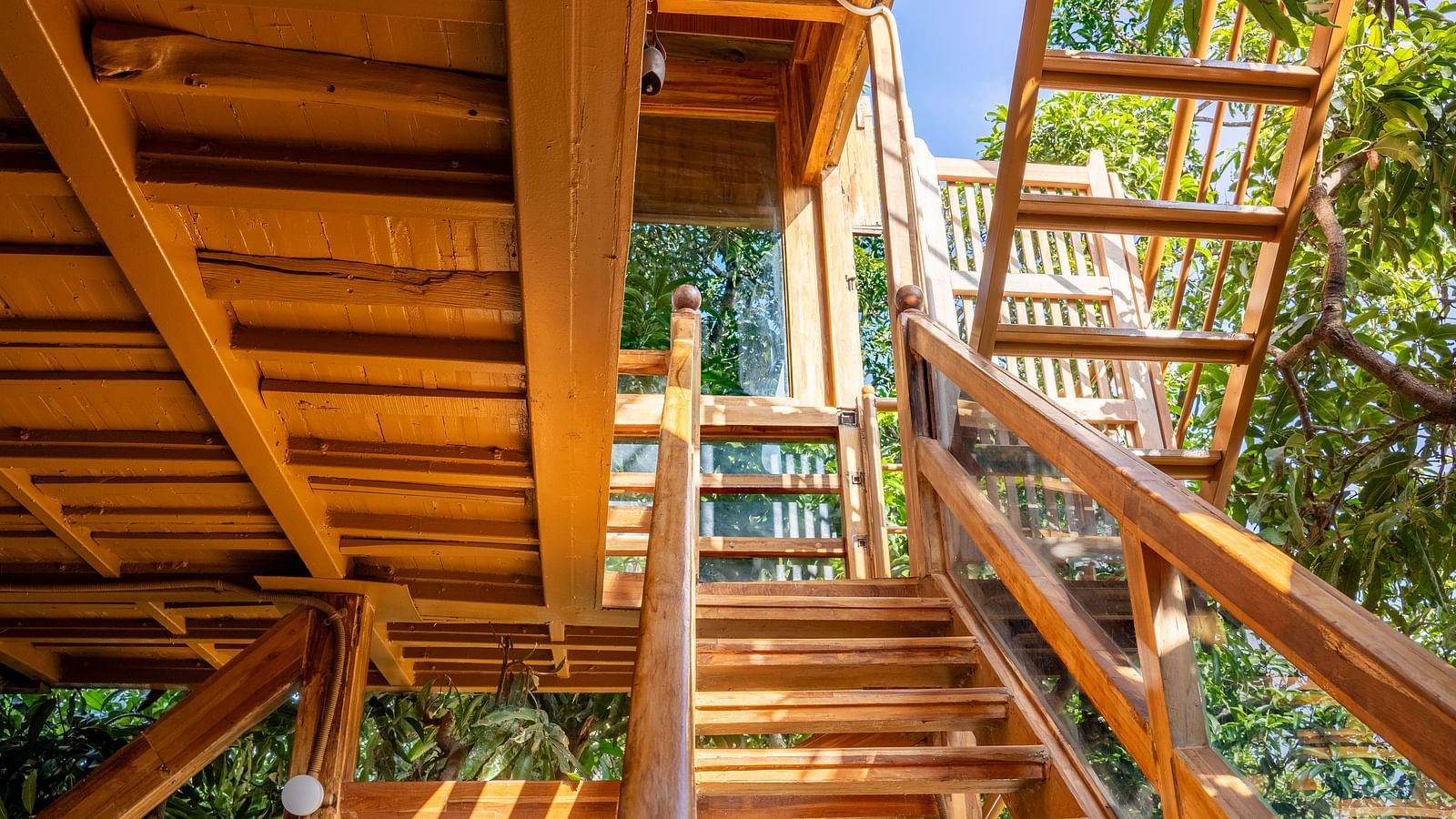 Wooden stair of a tree house surrounded by lush greenery