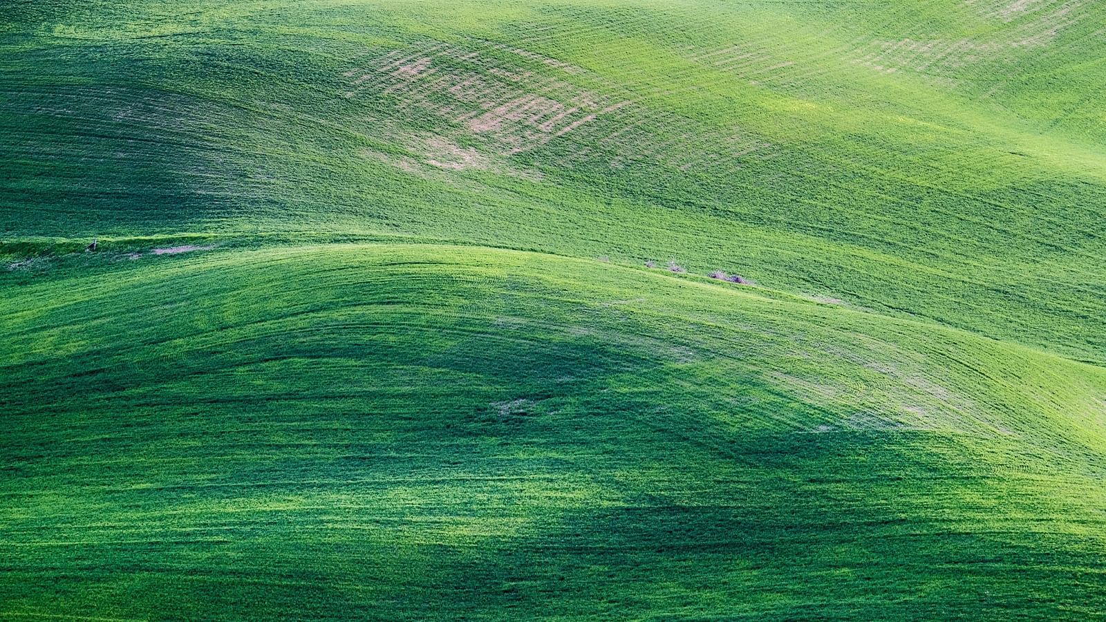 Rolling green hills with smooth, undulating patterns.