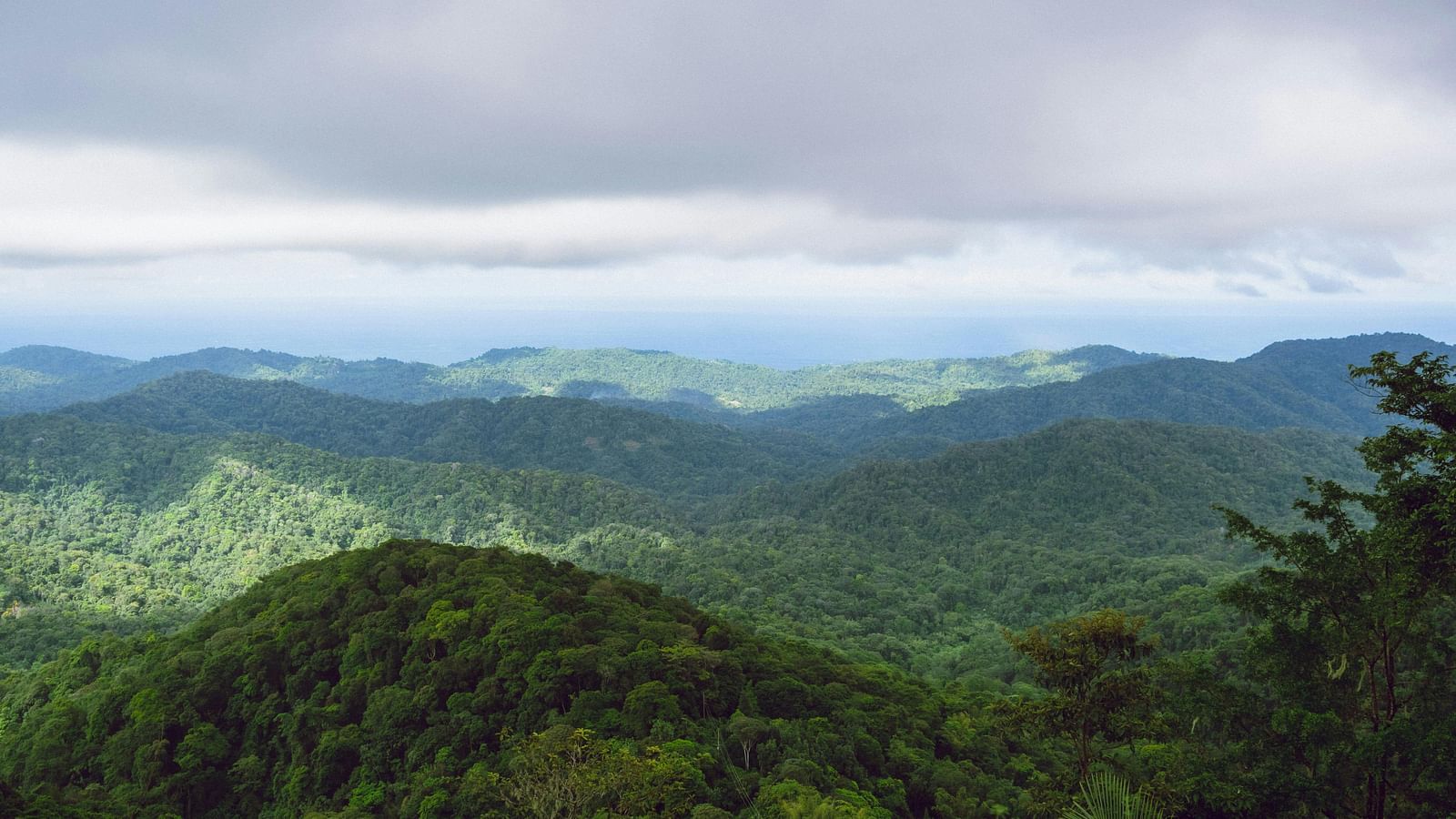 Scenic view of a forested mountain range under a cloudy sky.