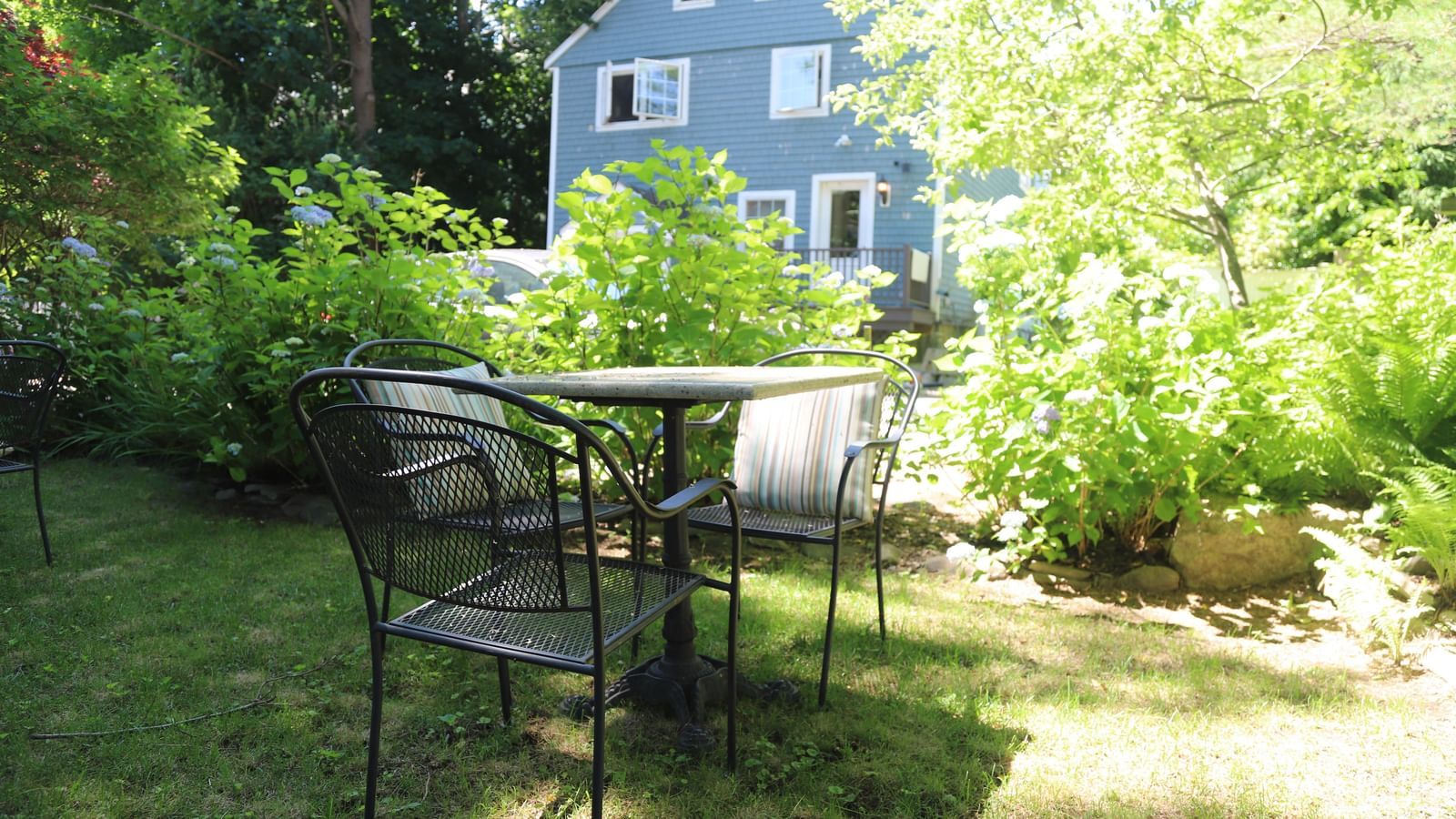 A garden setting with a black metal patio table and chairs on a grassy lawn, surrounded by lush green plants and hydrangeas, with a blue-gray house in the background at Hartstone Inn