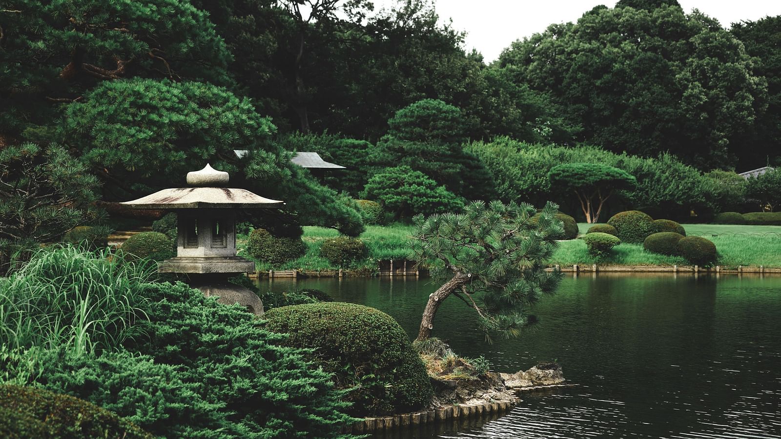 an overview of a botanical garden with greenery all around and a lake in view