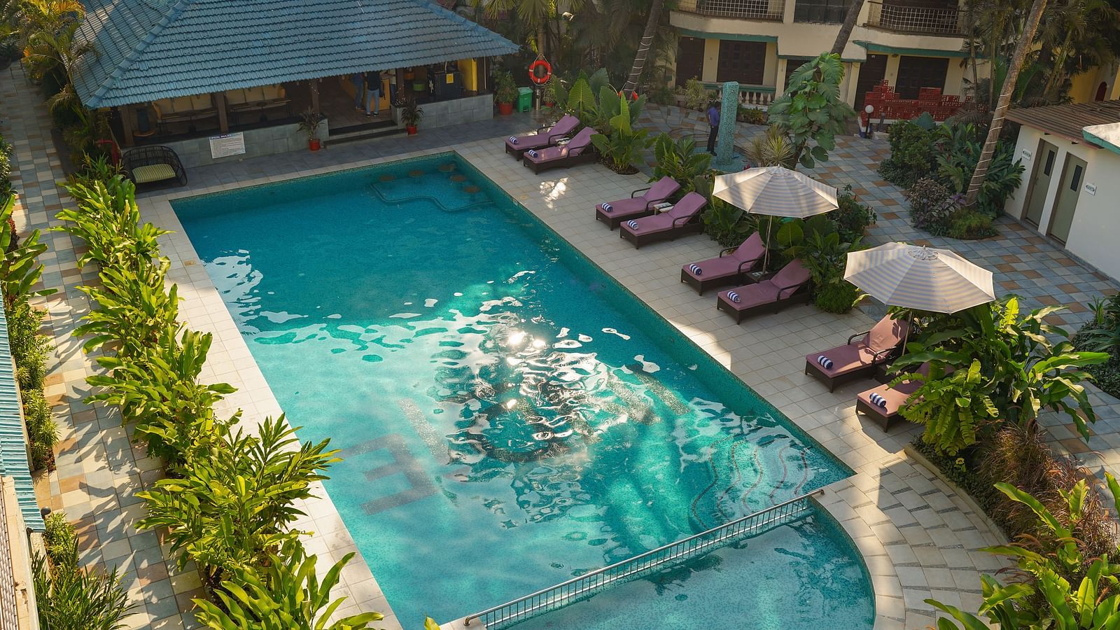An overhead view of the pool surrounded by plants, with lounge chairs and umbrellas at Indie Stays