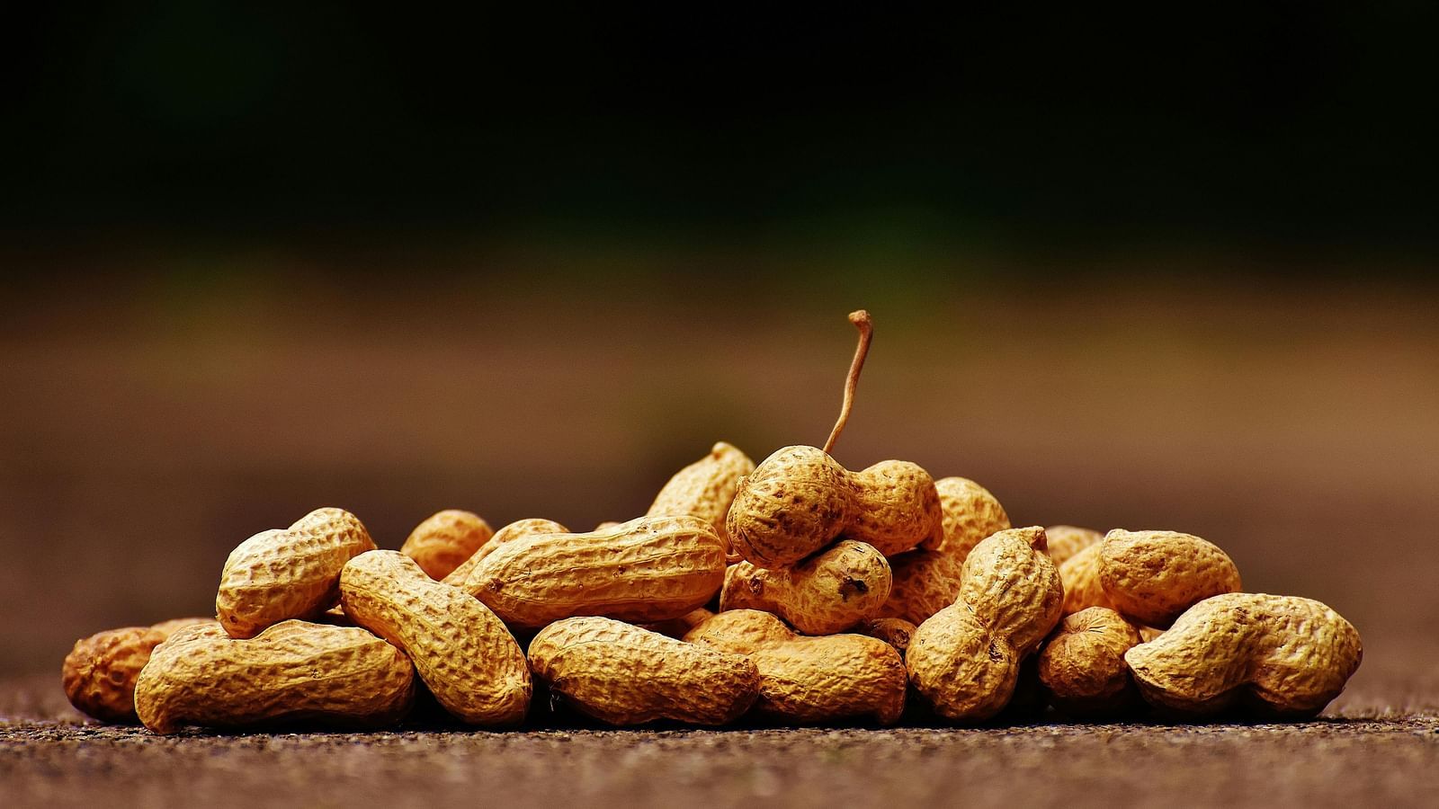 An image featuring a handful of groundnuts placed on the ground.