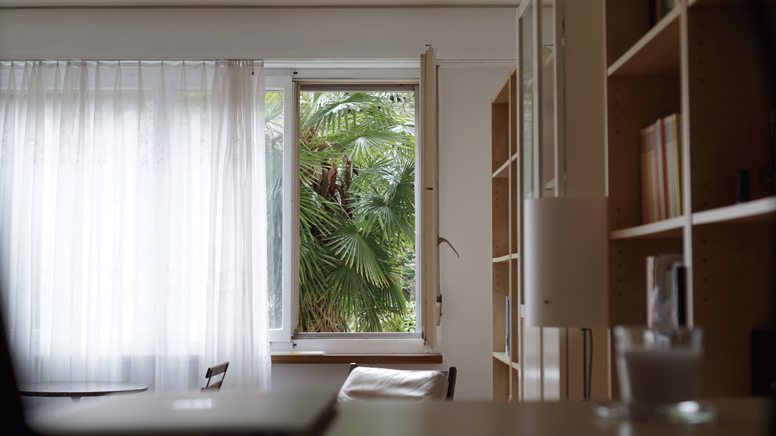 marko-kovic-x7WP4vuw3AM-unsplash