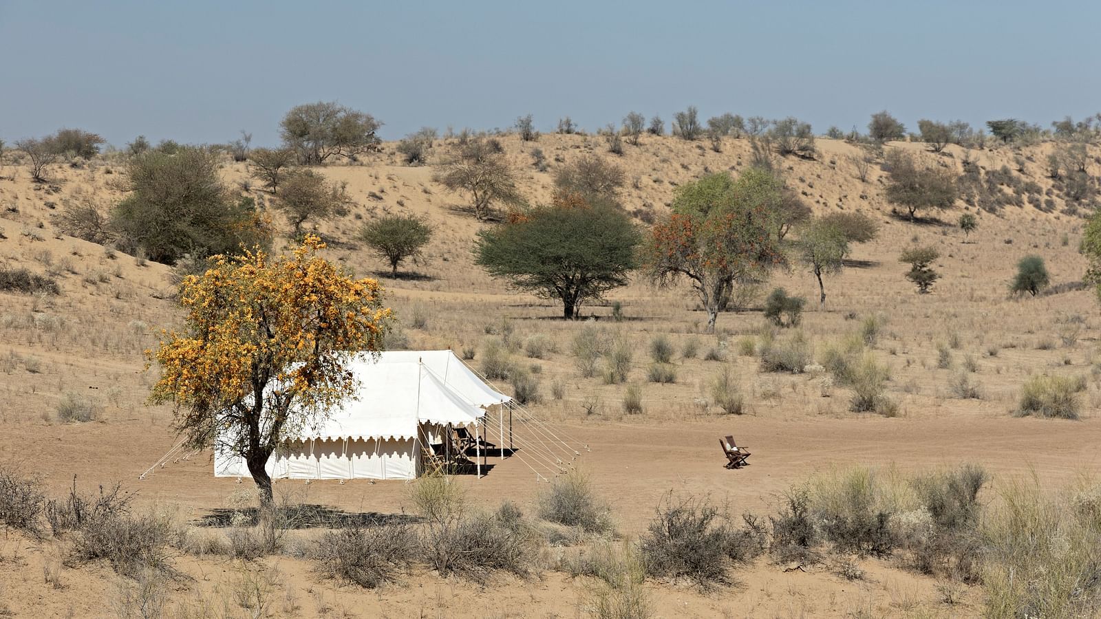 An image of a desert region with two tents set up for camping, camels, a jeep and few trees around - MANVAR Resort & Desert Camp