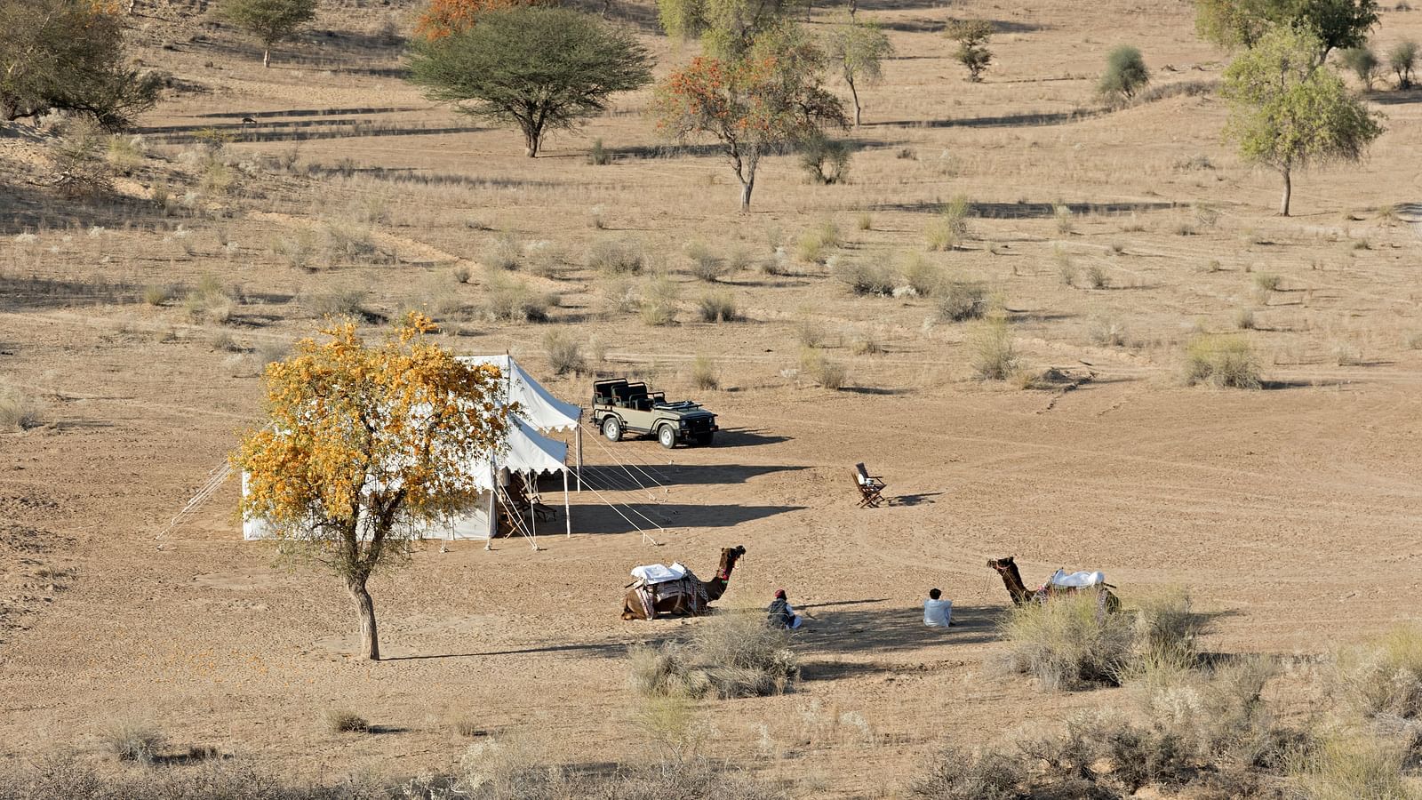 An image of a desert region with two tents set up for camping, camels, a jeep and few trees around - MANVAR Resort & Desert Camp
