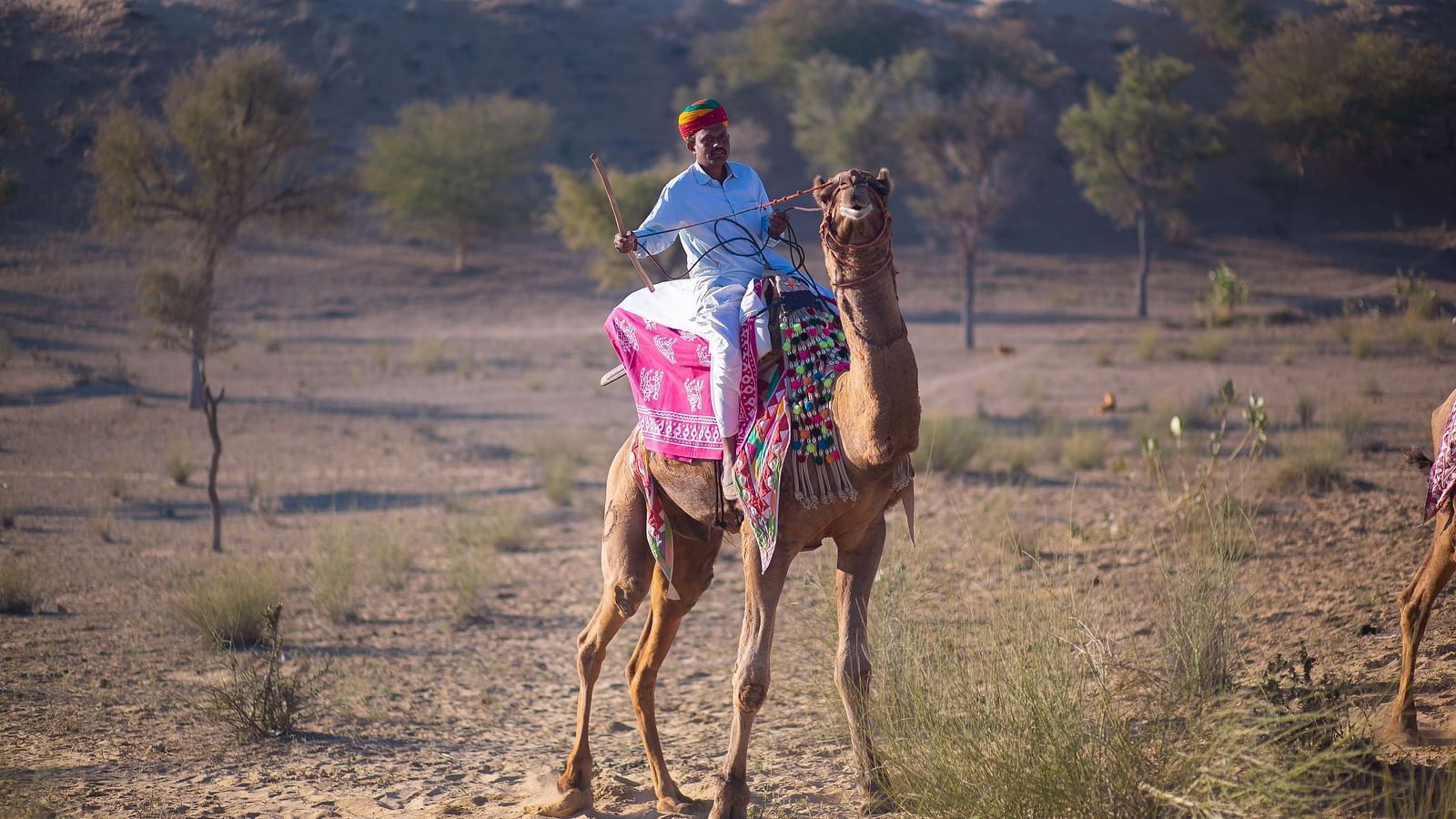 A caretaker riding his camel through the desert - MANVAR Resort & Desert Camp.