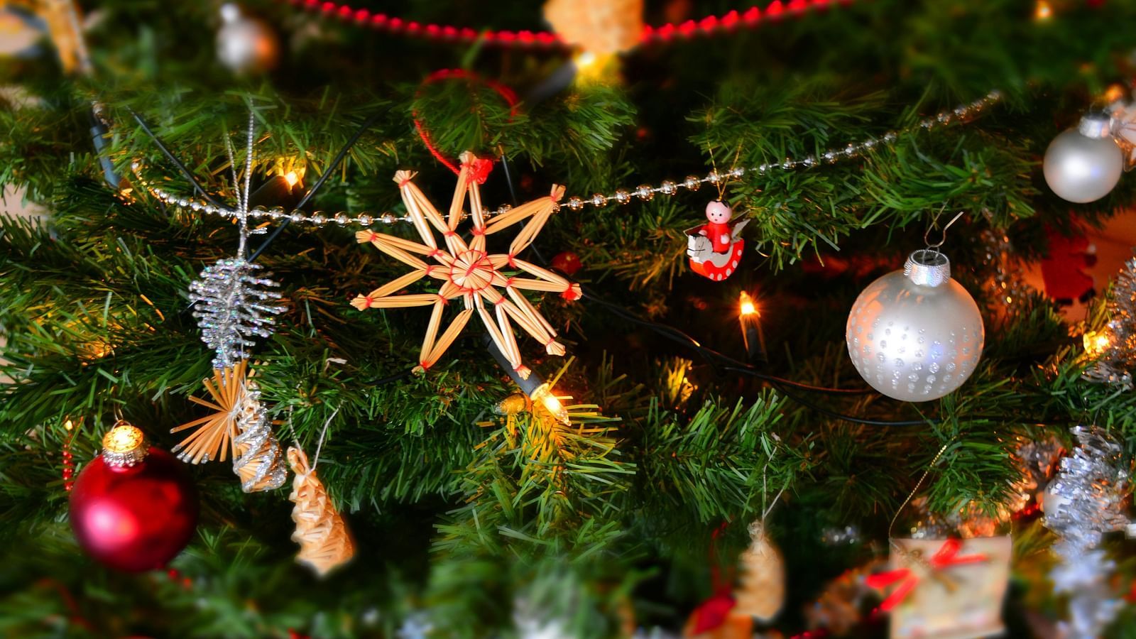 A close-up image of a decorated Christmas tree.