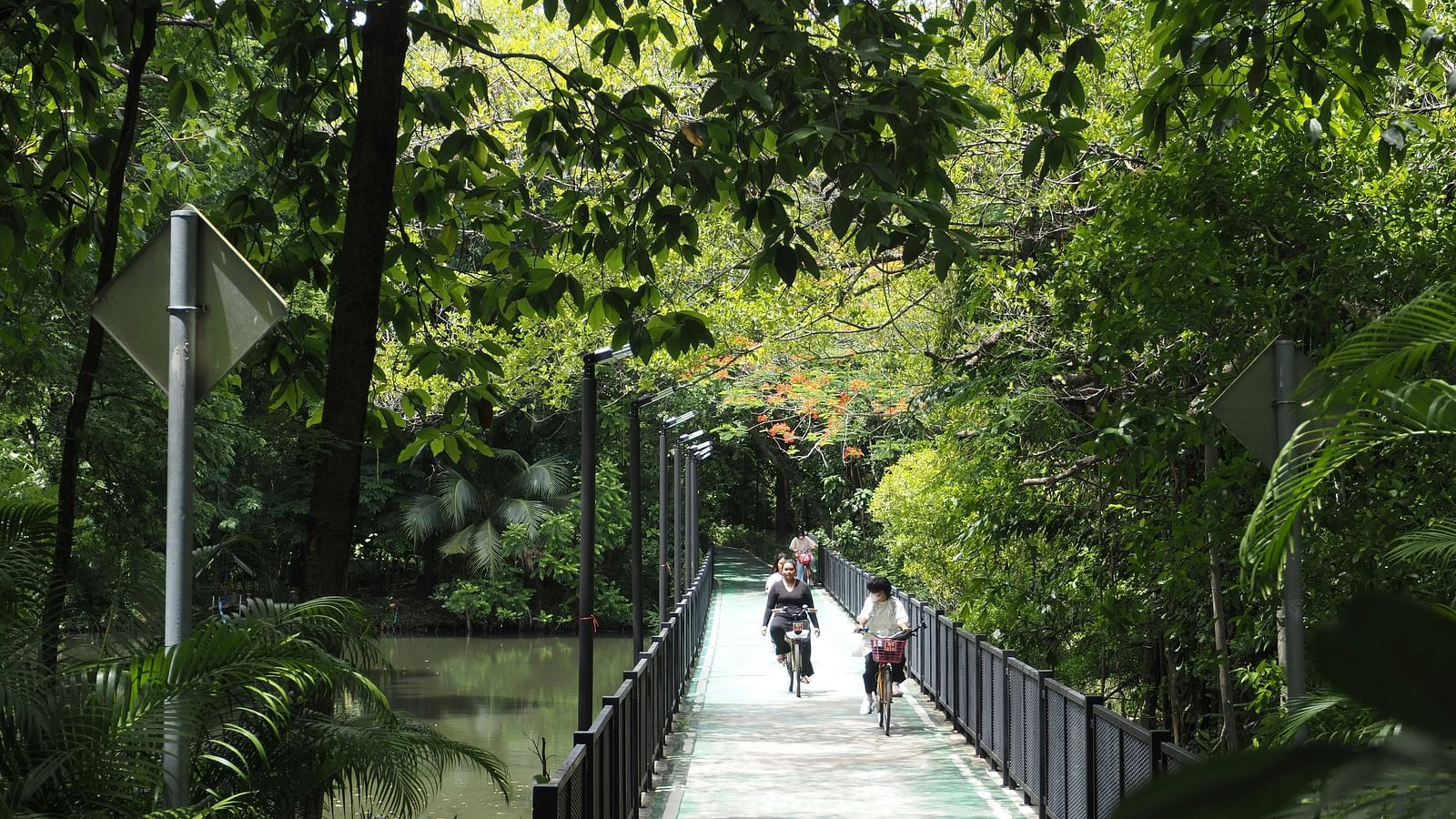 two cyclists riding their bicycles on a bridge inside a park with trees on either side.