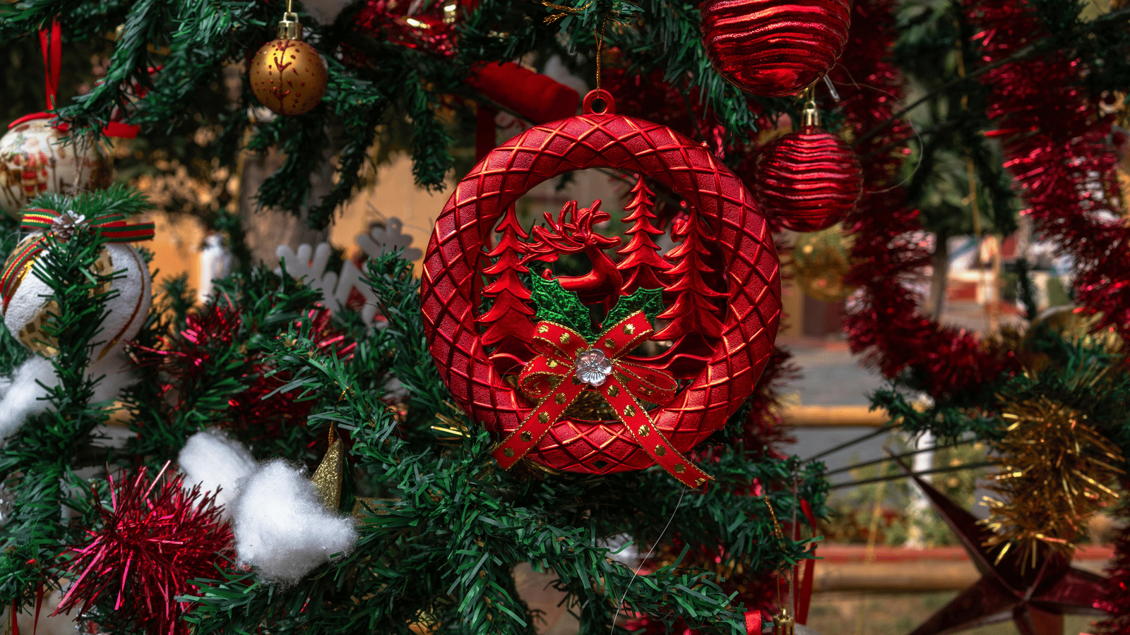 pexels-swastikarora-30628977