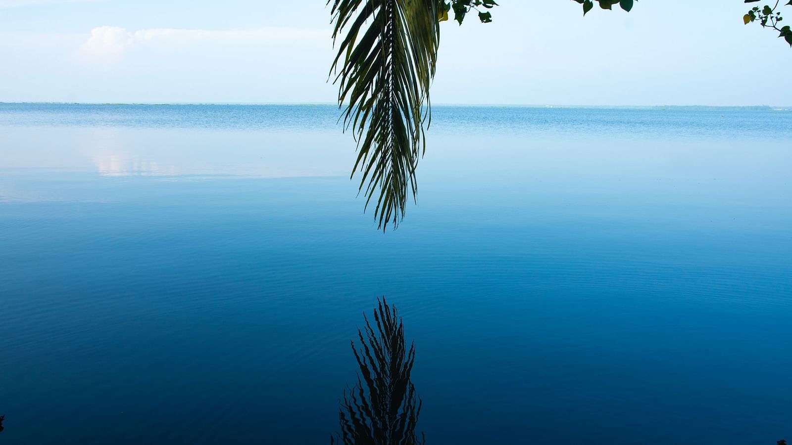 a striking view of a lake in Kumarakom