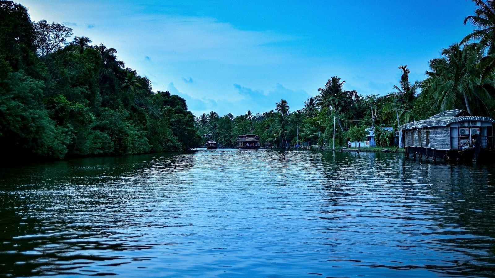 an image of overview of the Kumarakom backwaters with a boat on the side and forest cover on either side.