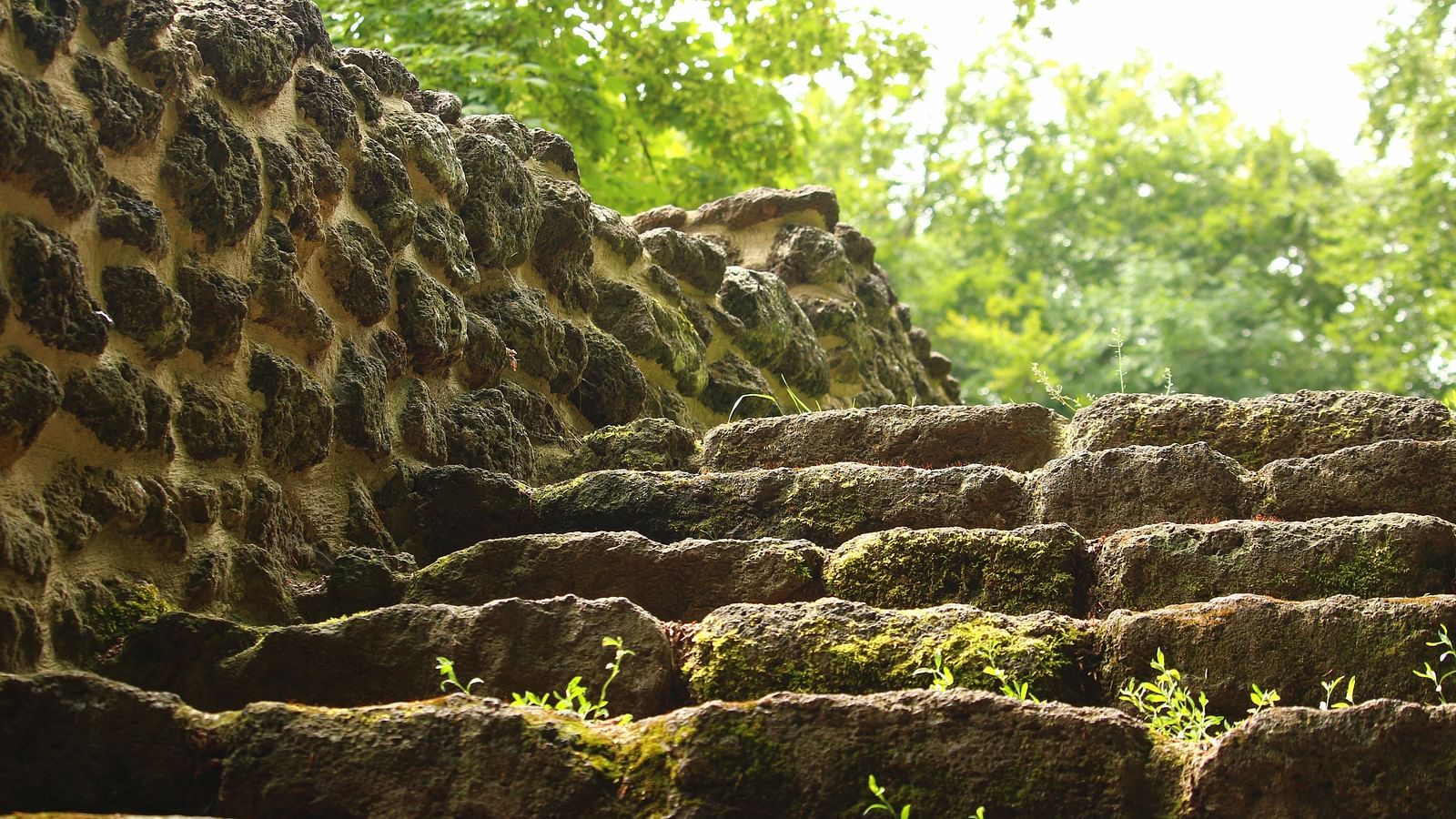 The much trodden steps of Stone fort 