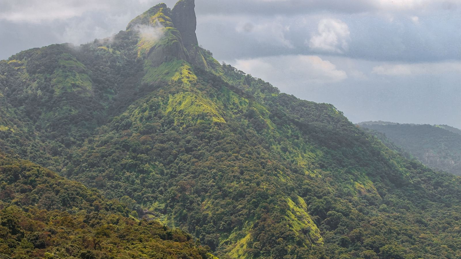 view of a lush hill touching the clouds with white clouds in the background
