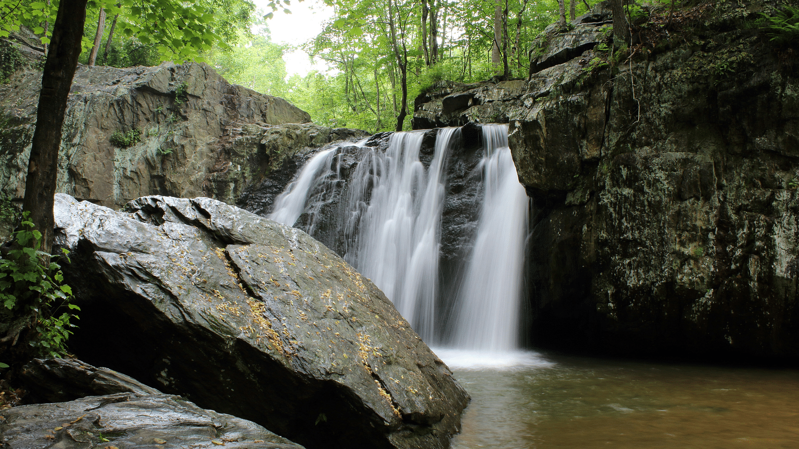 An image capturing a waterfall cascading from rocky cliffs into a flowing stream below, surrounded by lush greenery