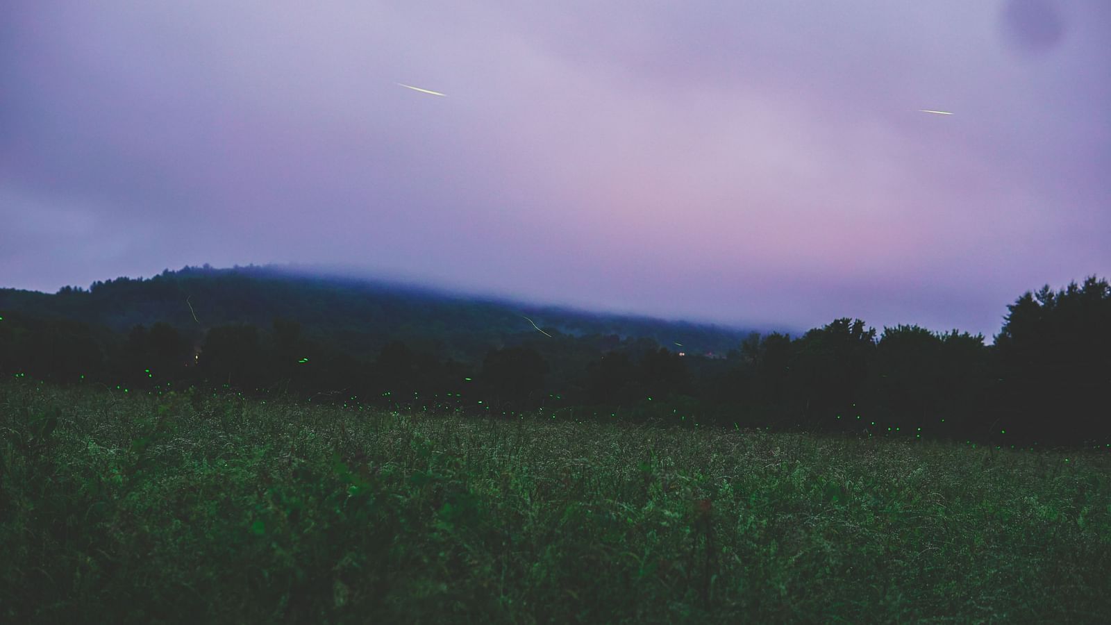 an image of a lush green meadow under a lavender sky at dusk
