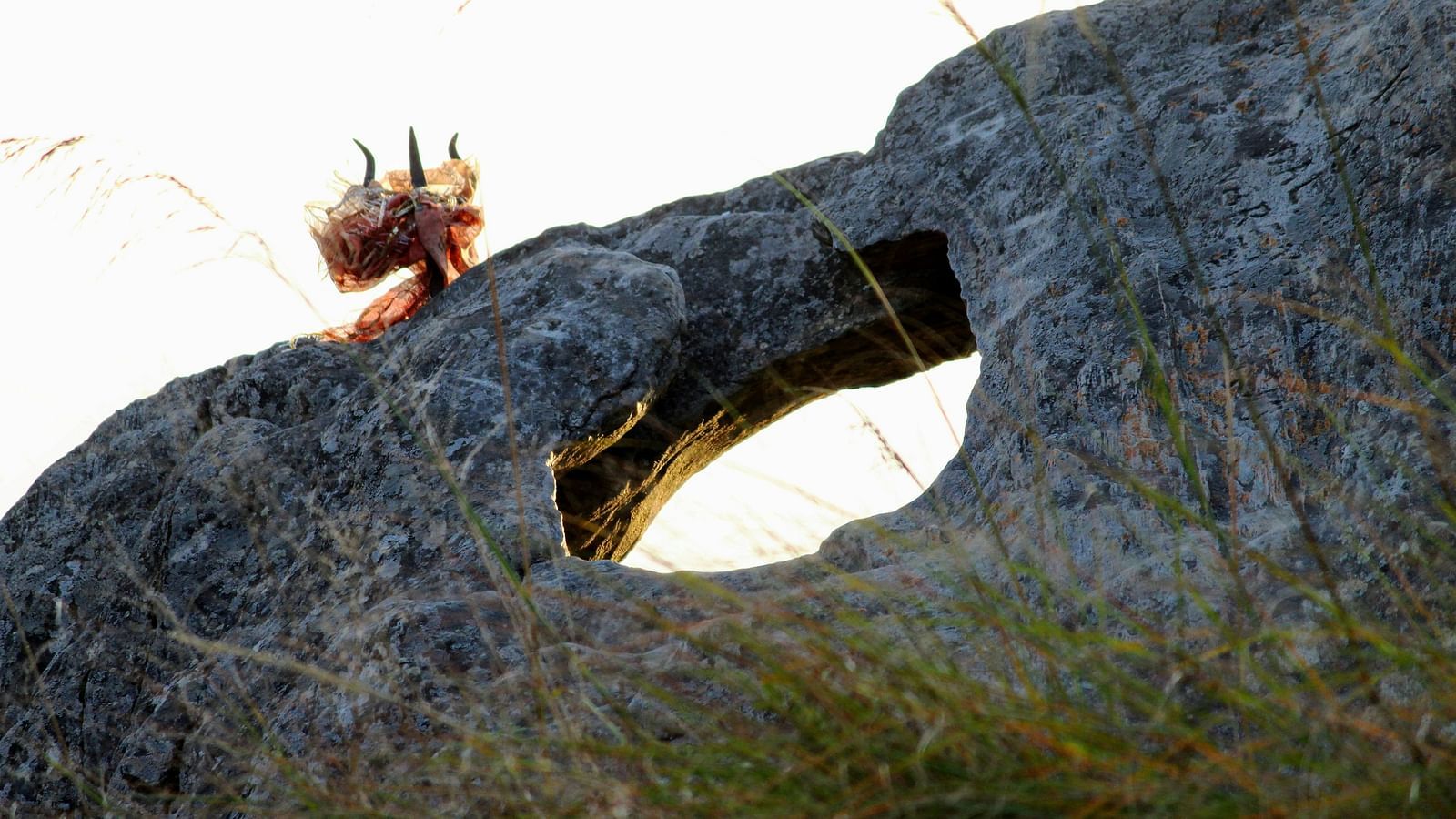 Chauli Ki Jali rock taken from a low angle.