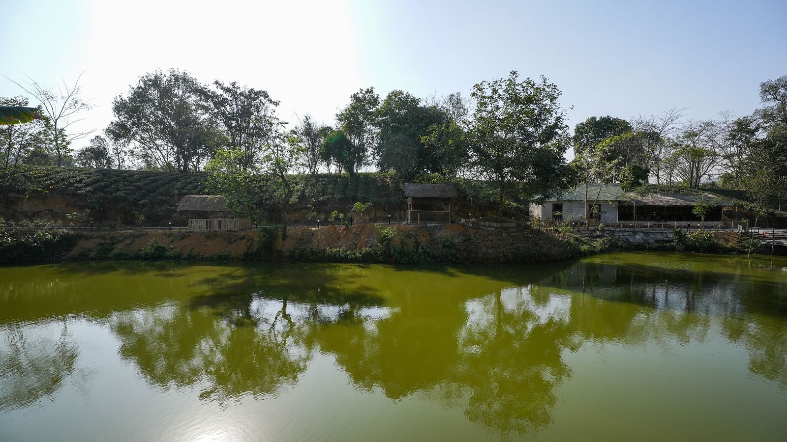 Lake view at Summit Green Lake Tea Resort & Spa, Kaziranga