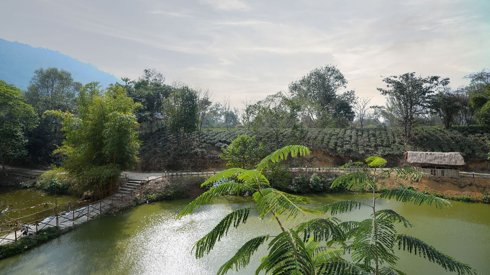 Lake view at Summit Green Lake Tea Resort & Spa, Kaziranga