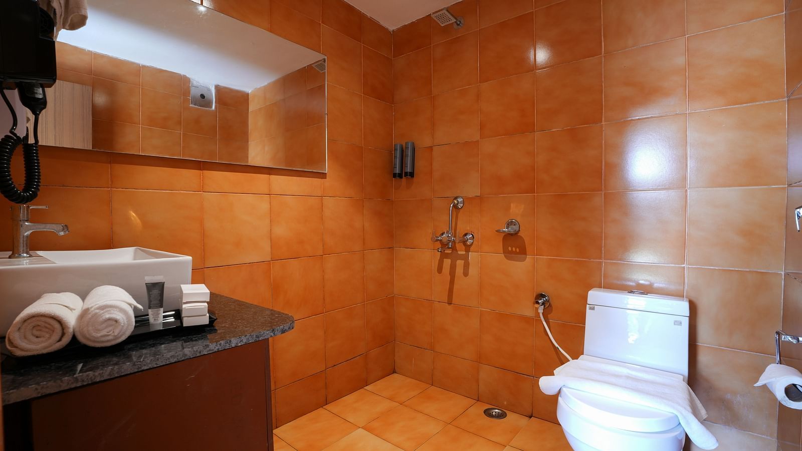 The spacious bathroom of the Deluxe Cottage features glass separating the shower area, a large washbasin with a mirror, and wooden storage space underneath at Summit Green Lake Tea Resort & Spa, Kaziranga