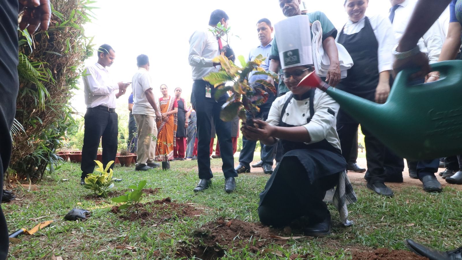 People planting and watering saplings at Swosti Resorts