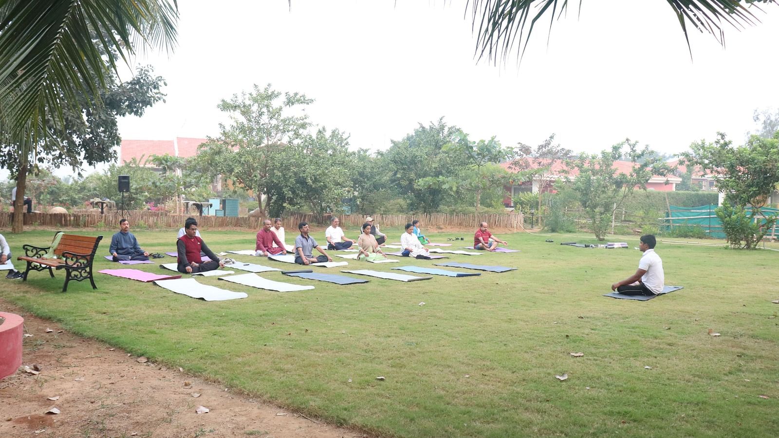 People practising yoga in a garden on an overcast day