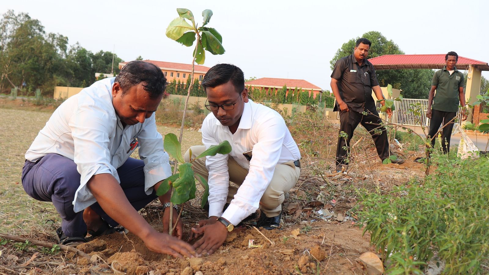 People planting a sapling at Swosti Resorts during the day