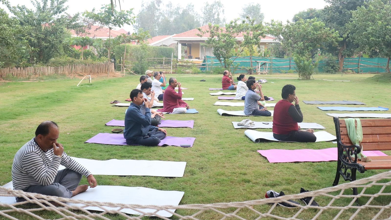 People practising yoga in a garden on an overcast day