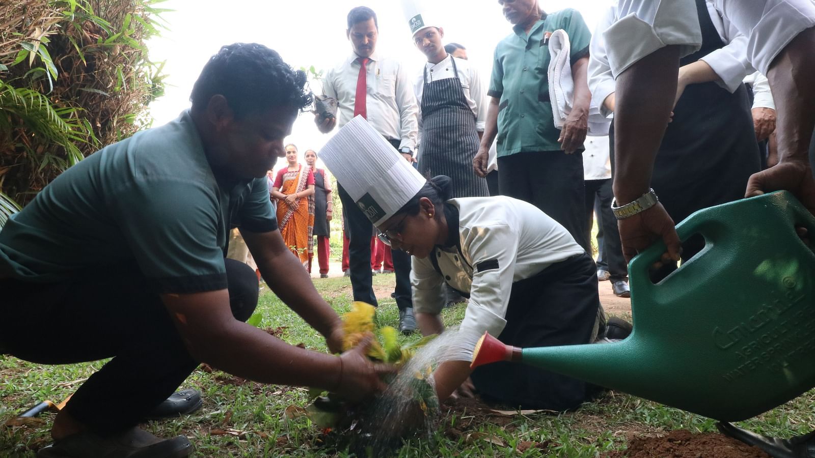 People planting a sapling at Swosti Resorts during the day