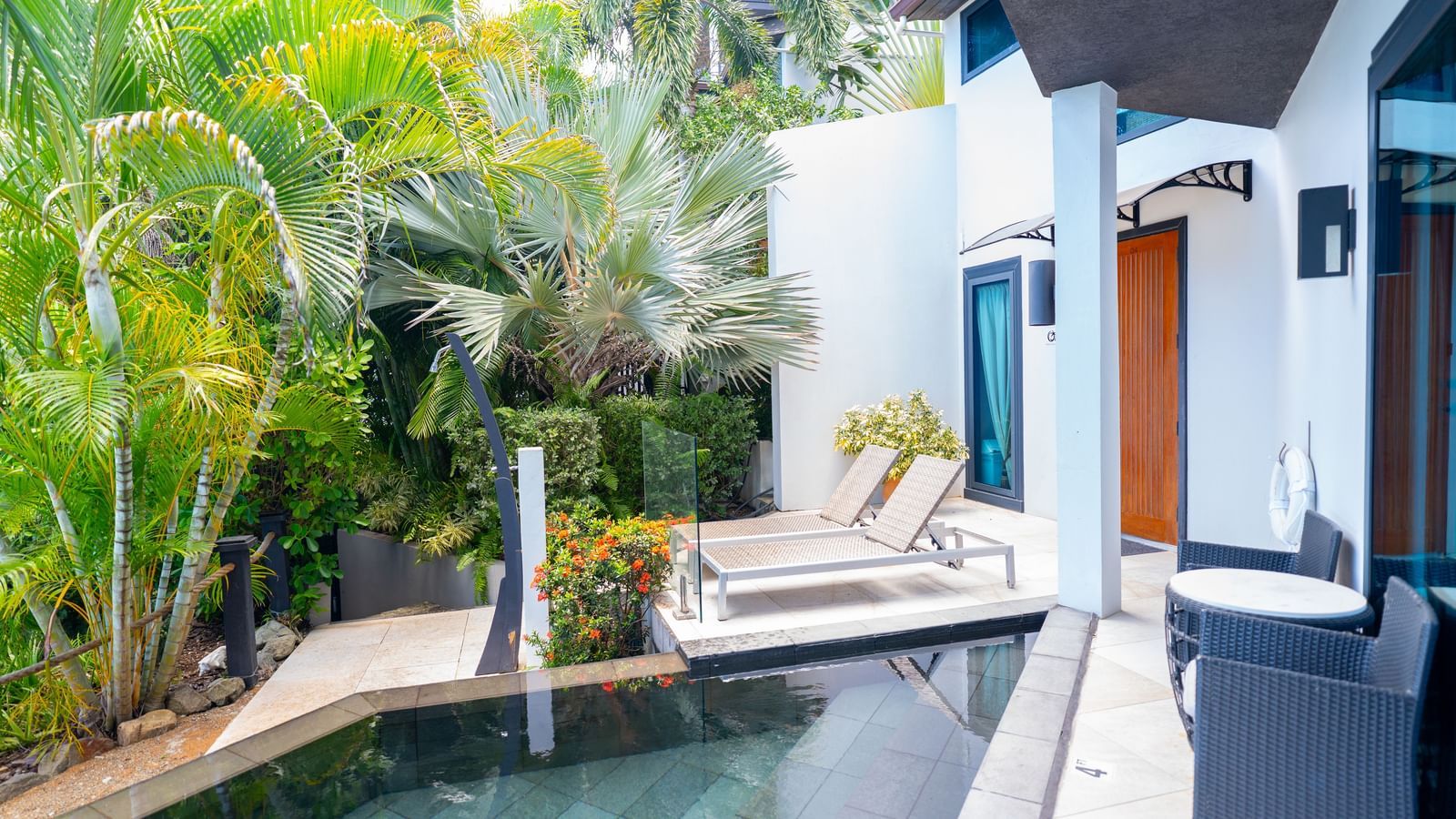 Oasis Image 4