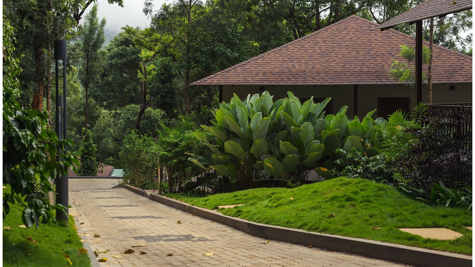 pathway of the property with plants and a cottage beside it