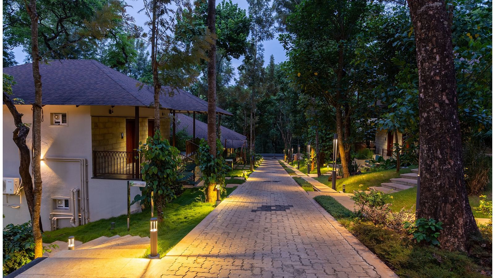 pathway with tress beside it during night
