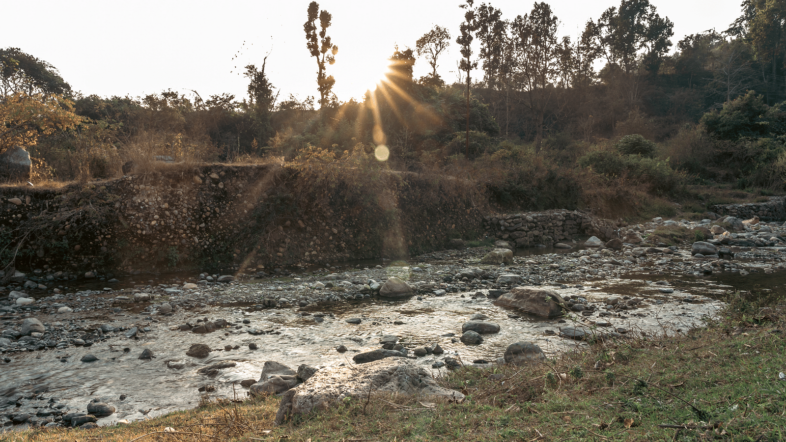 A lush of stream passing amongst greenery at the Sylvan Retreat, Dehradun.