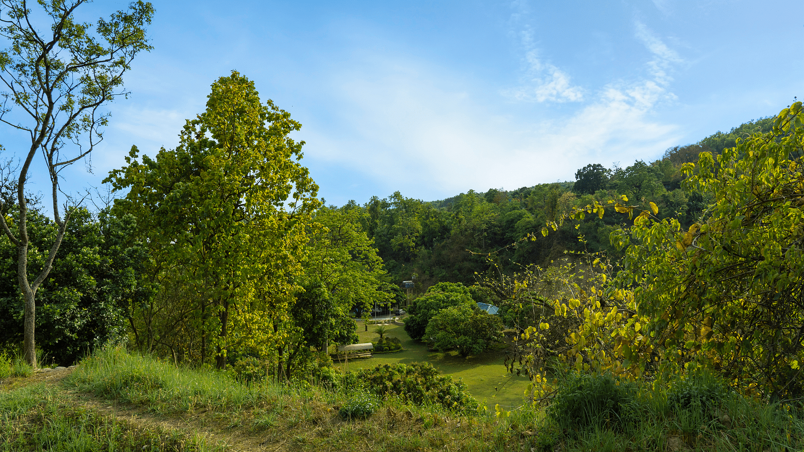 A view of lush greenery Aat the Sylvan Retreat, Dehradun.