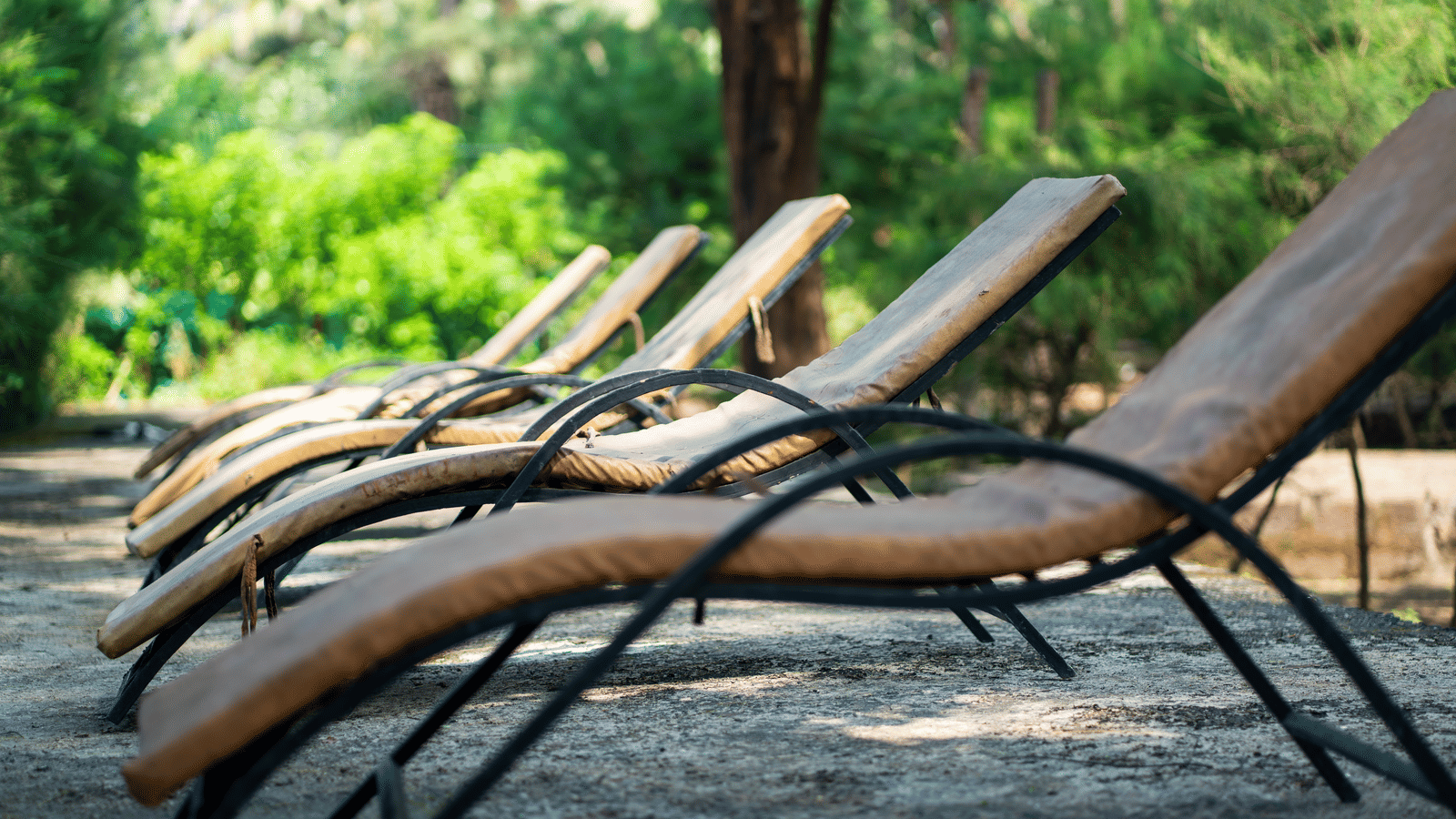 Beach chairs on sand facing trees, outdoor seating at Tranquil Beach Resort, Harihareshwar.
